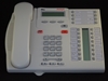 Nortel T7316E Telephone Platinum